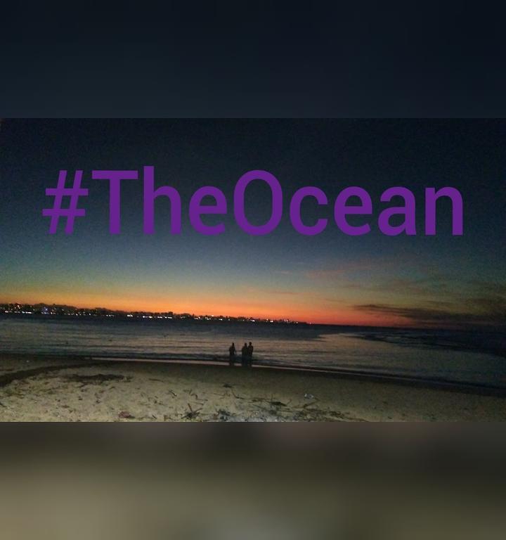 The Ocean Bar & Hookah